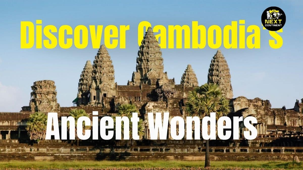 Angkor Wat temple under a clear blue sky, with palm trees in the foreground and a glimpse of water with lily pads surrounding the temple