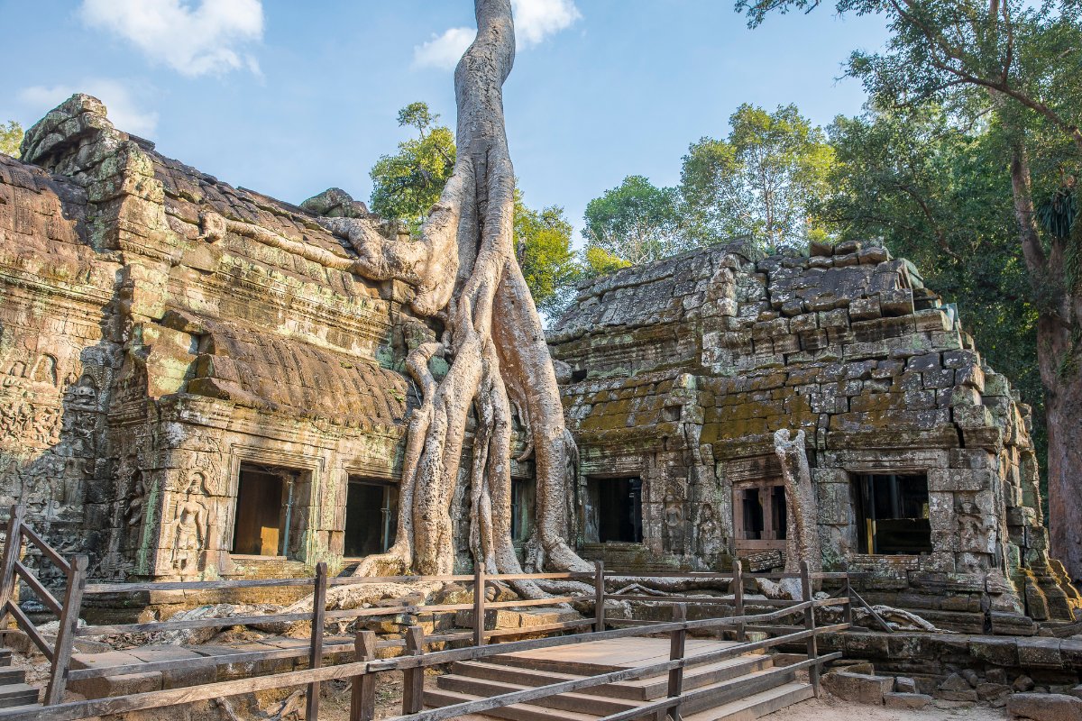 a Prohm temple in Angkor, Cambodia, partially covered by ancient tree roots, showcasing the iconic blend of nature and architecture in this historic jungle site