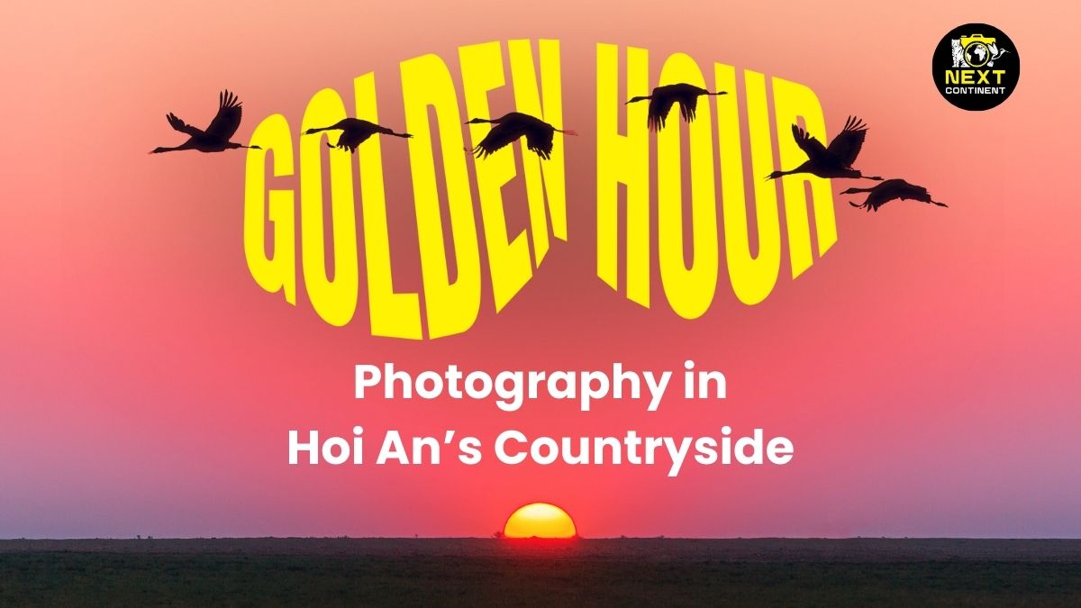 Golden Hour in Hoi An blog thumbnail with a pink sunset, crane silhouettes, and golden text in the sky