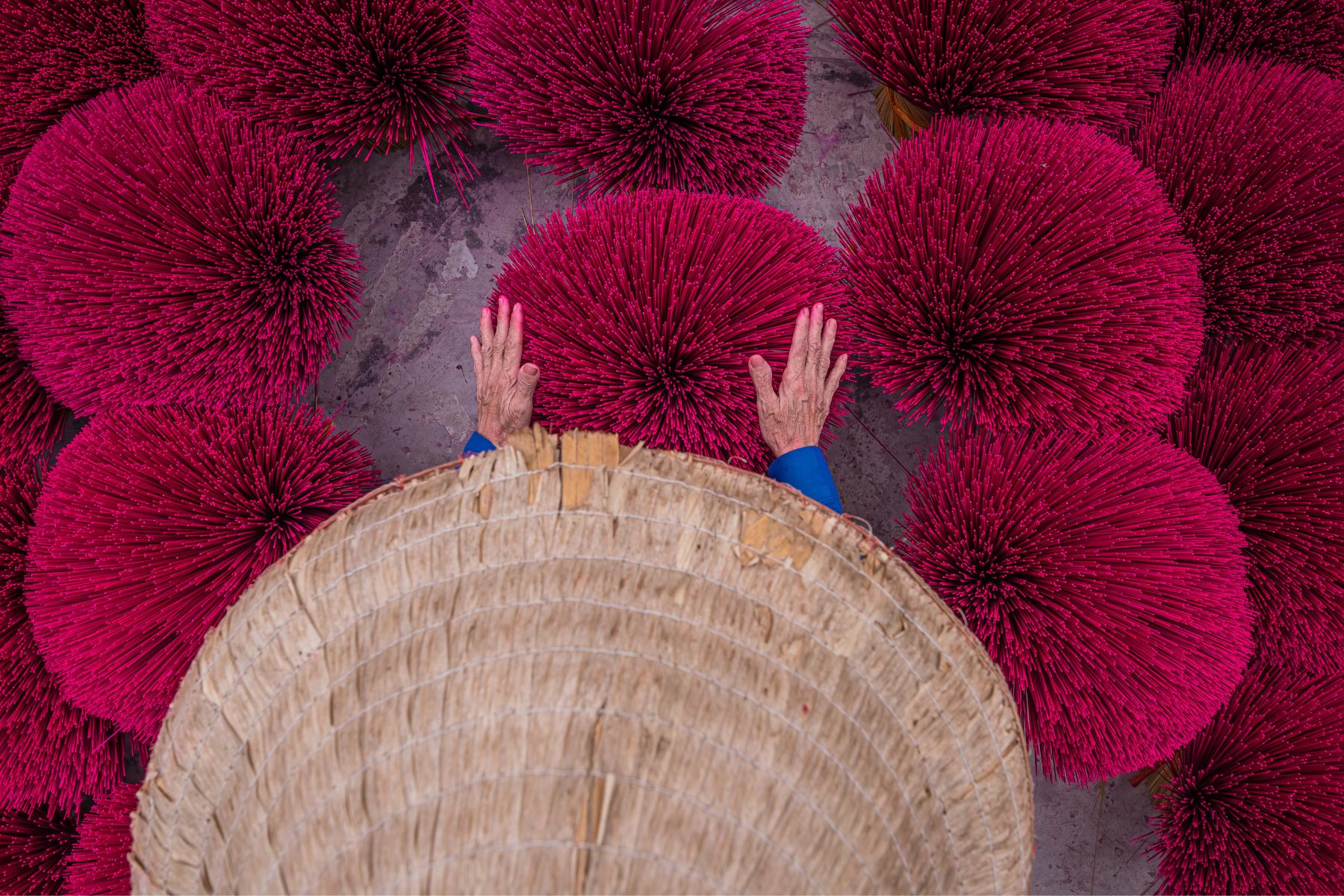 Close-up of a woman in traditional Vietnamese attire and a non la hat, arranging bright red incense sticks drying in the sun at Quang Phu Cau Village