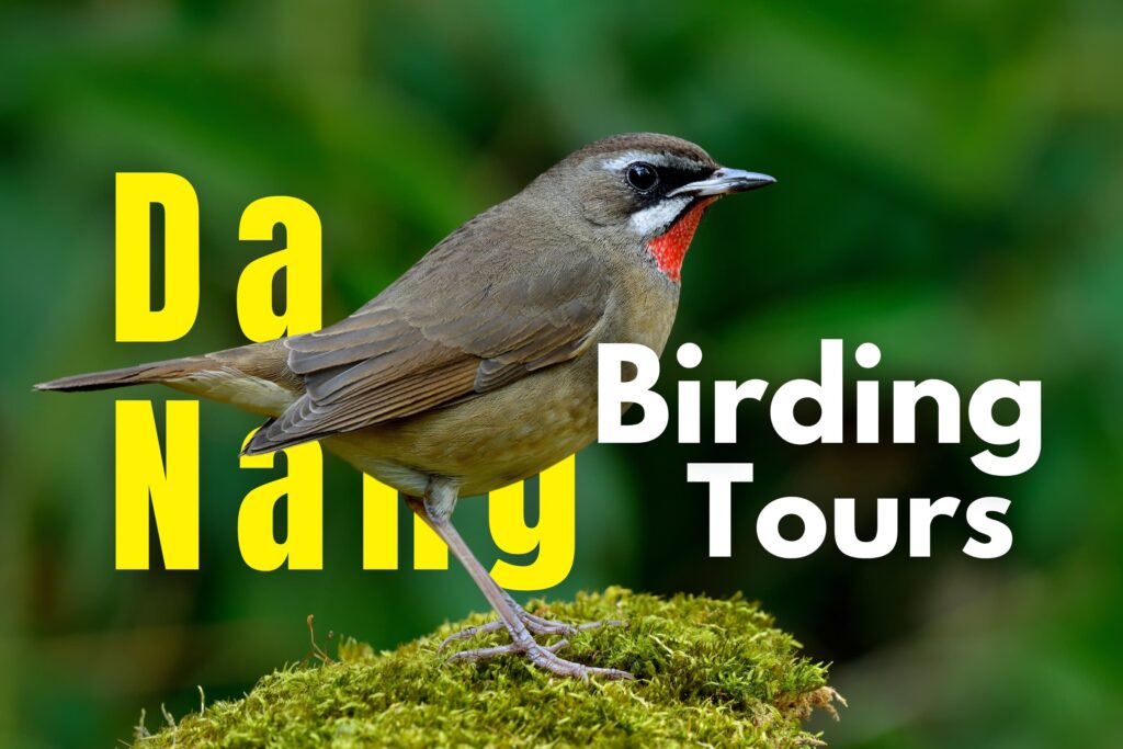 Bach Ma Nature Expedition