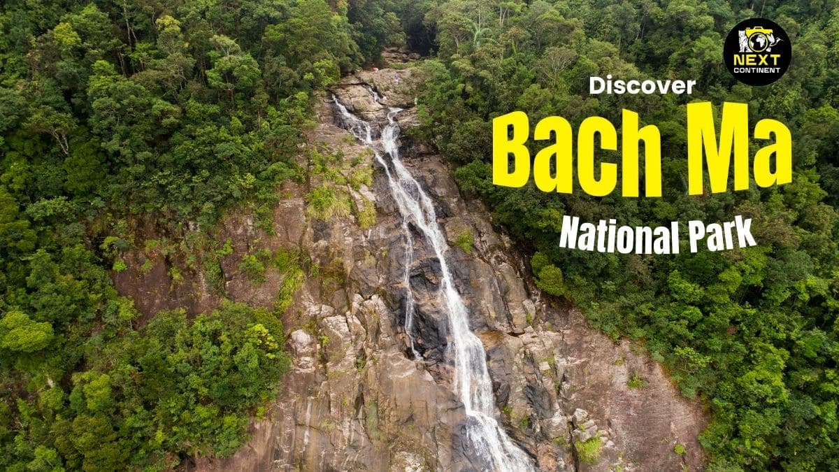 A stunning waterfall cascading through dense forest in Bạch Mã National Park