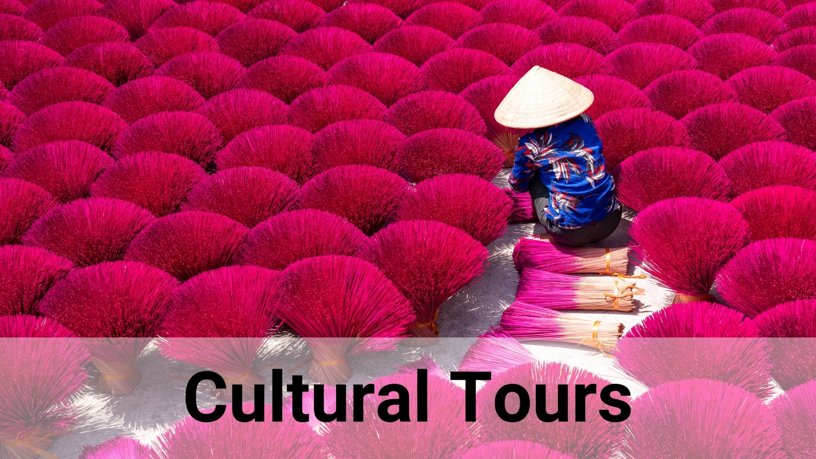 Next Continent Wildlife Photography And Natural History Tours