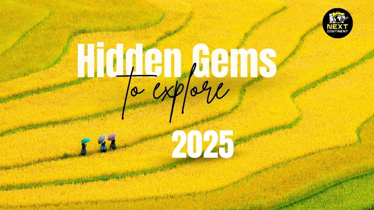 Aerial shot of a bright golden field of flowers in rural Vietnam, with three ladies in traditional outfits and non la hats walking through the field