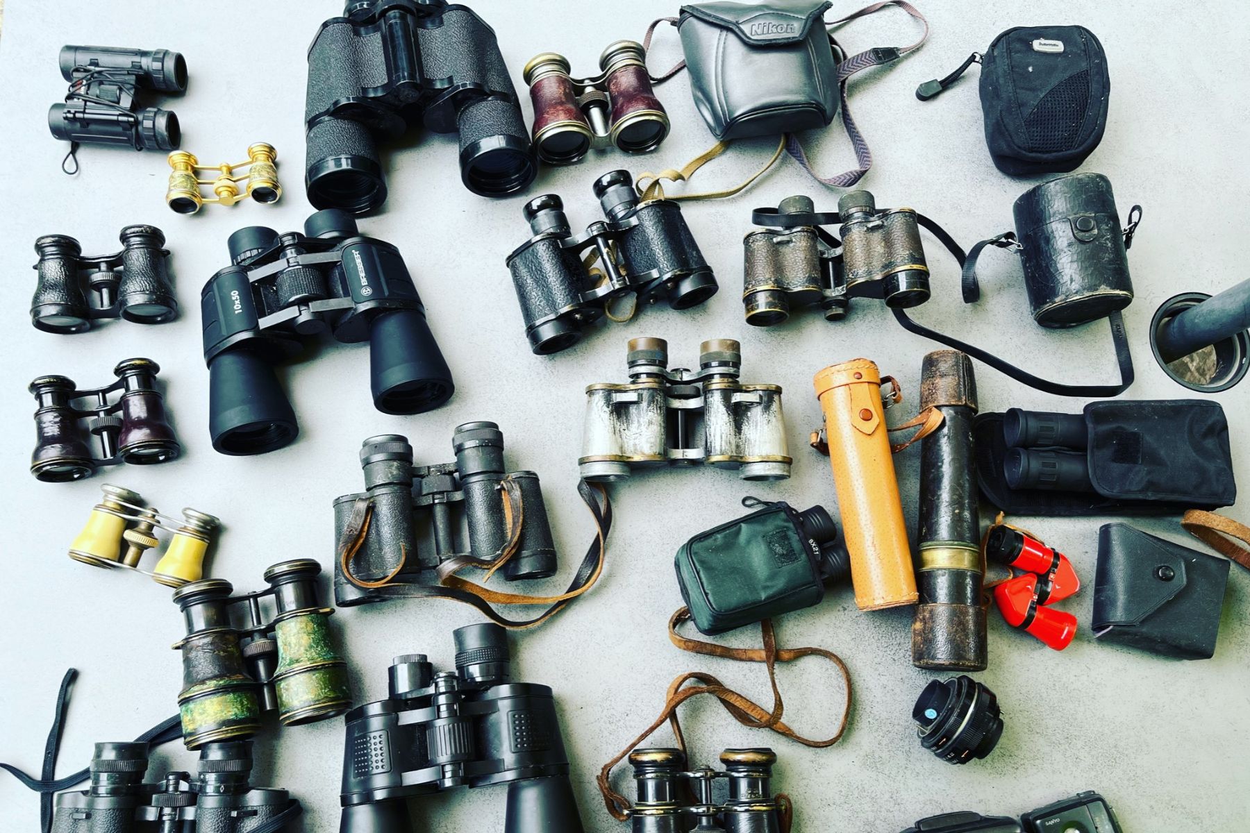 Variety of binoculars from different brands and sizes scattered on the ground for comparison