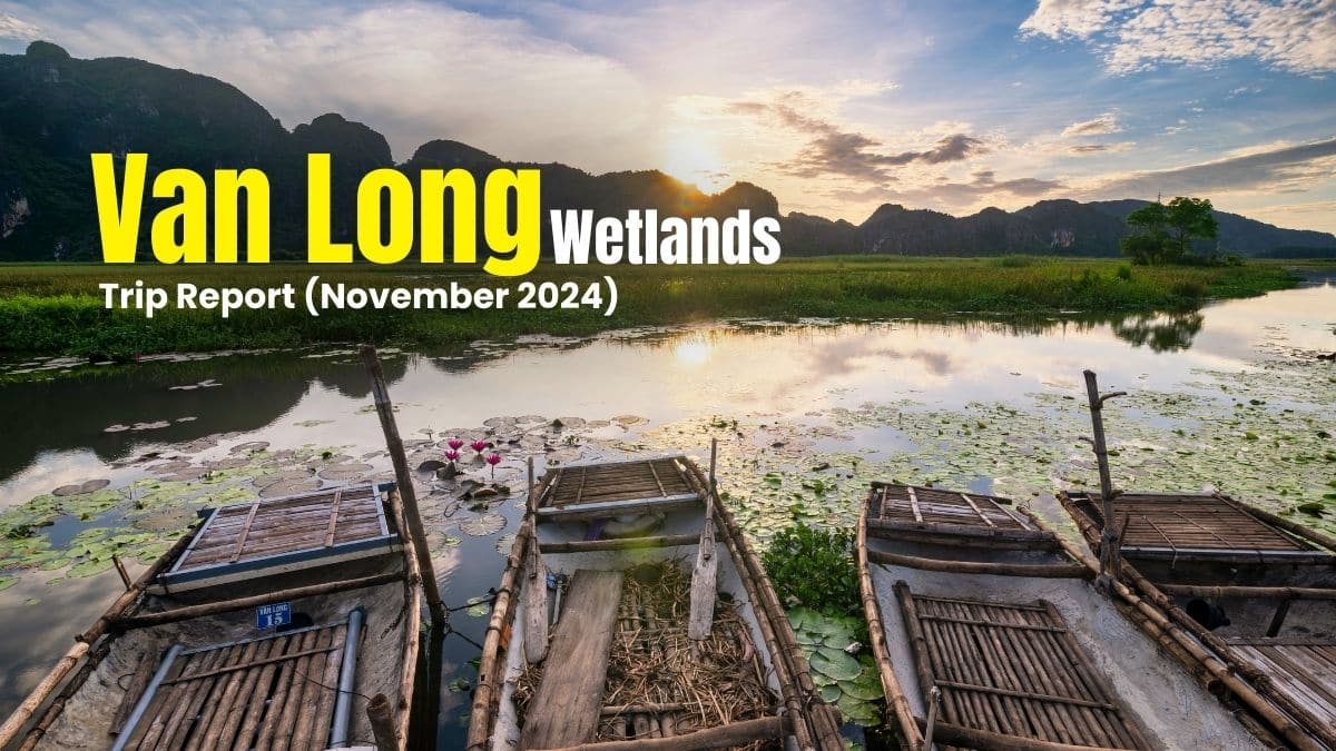 Sunrise over the Van Long Wetlands with karst limestone mountains in the background, traditional Vietnamese boats on the water, and the golden sunrise reflected on the wetlands