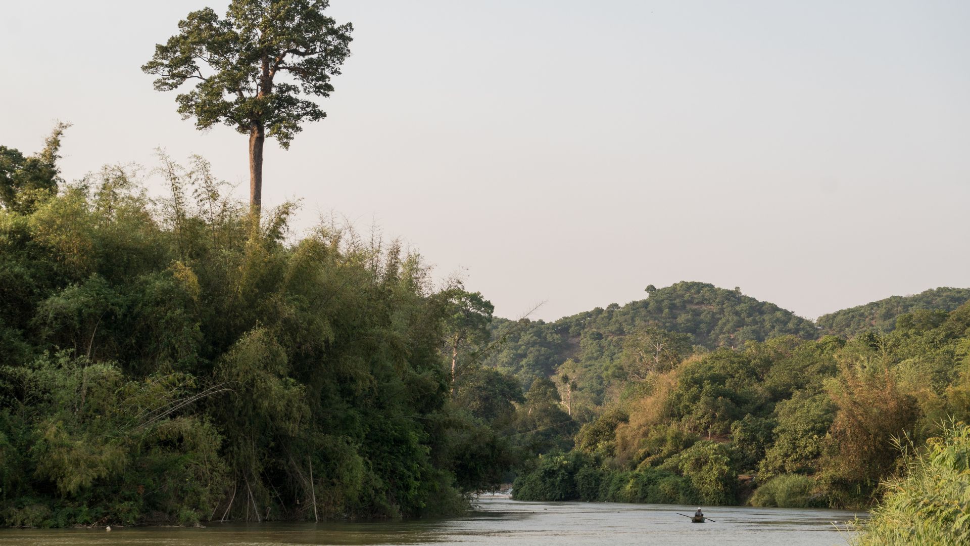 A tranquil river in Cat Tien National Park, surrounded by lush greenery and high bushes, reflecting the open sky. The serene waters provide a habitat for diverse wildlife in this biodiverse sanctuary.