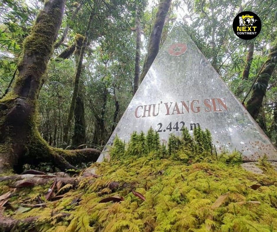 The Chu Yang Sin milestone stands in the middle of a dense forest, partially covered in moss, marking the entrance to Chu Yang Sin National Park in Vietnam. Tall trees and lush greenery surround the stone marker, creating a serene and untouched natural landscape.