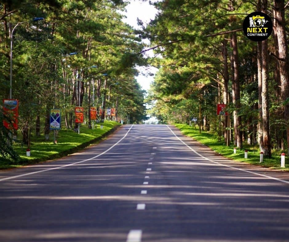 A peaceful road winds through the lush green forests of Mang Den, Kon Tum Province, Vietnam