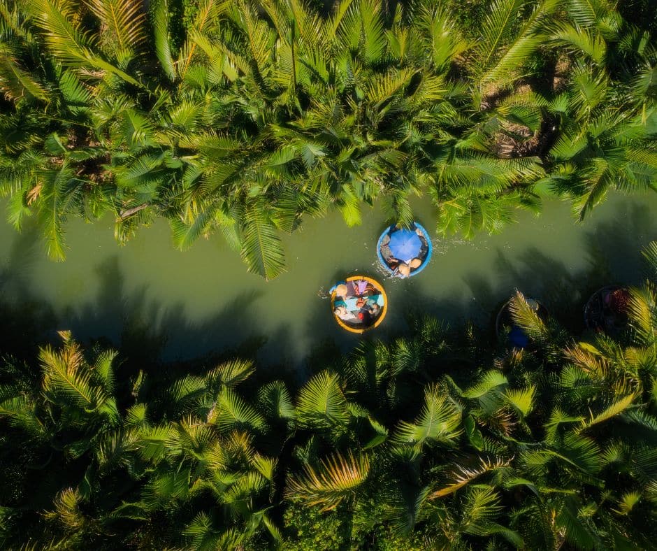 Tourists riding traditional basket boats through the lush green waterways of Bay Mau Coconut Forest in Hoi An, Vietnam.