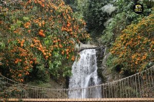 Next Continent at the International Travel Workshop – Quảng Nam 2025