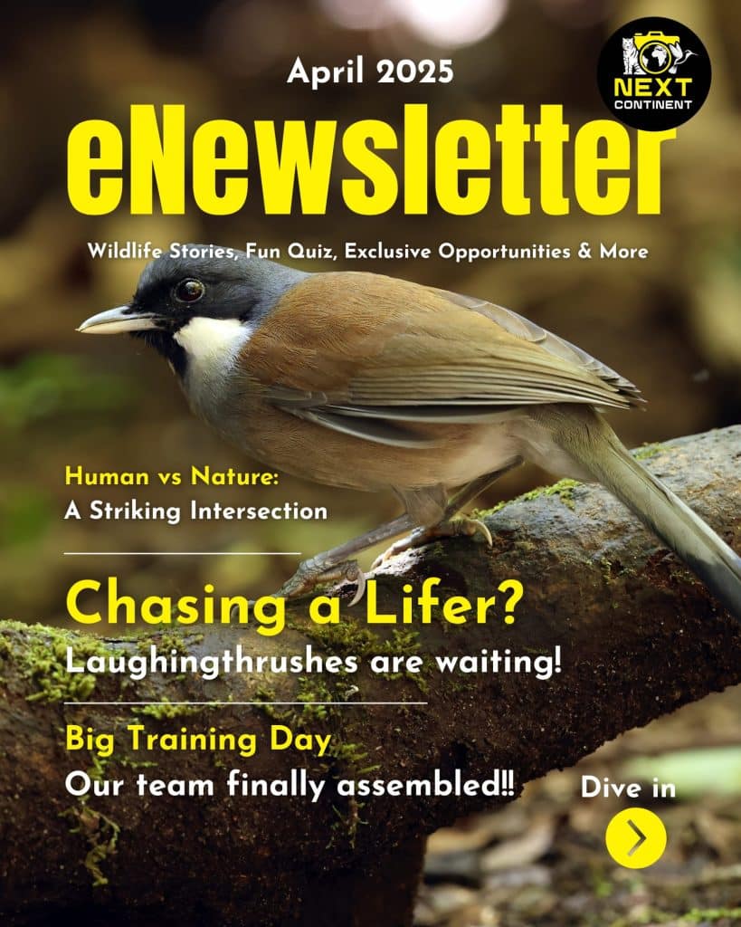 Front cover of the Next Continent eNewsletter for April 2025.