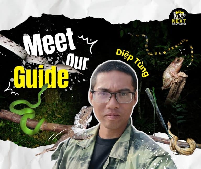 Meet Our Guide: Diep Tung