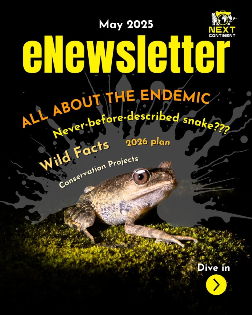 Front cover of the Next Continent eNewsletter for May 2025.