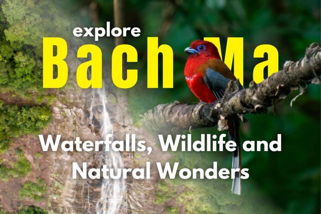 Tour thumbnail image of our Explore Bach Ma: Waterfalls, Wildlife and Natural Wonders
