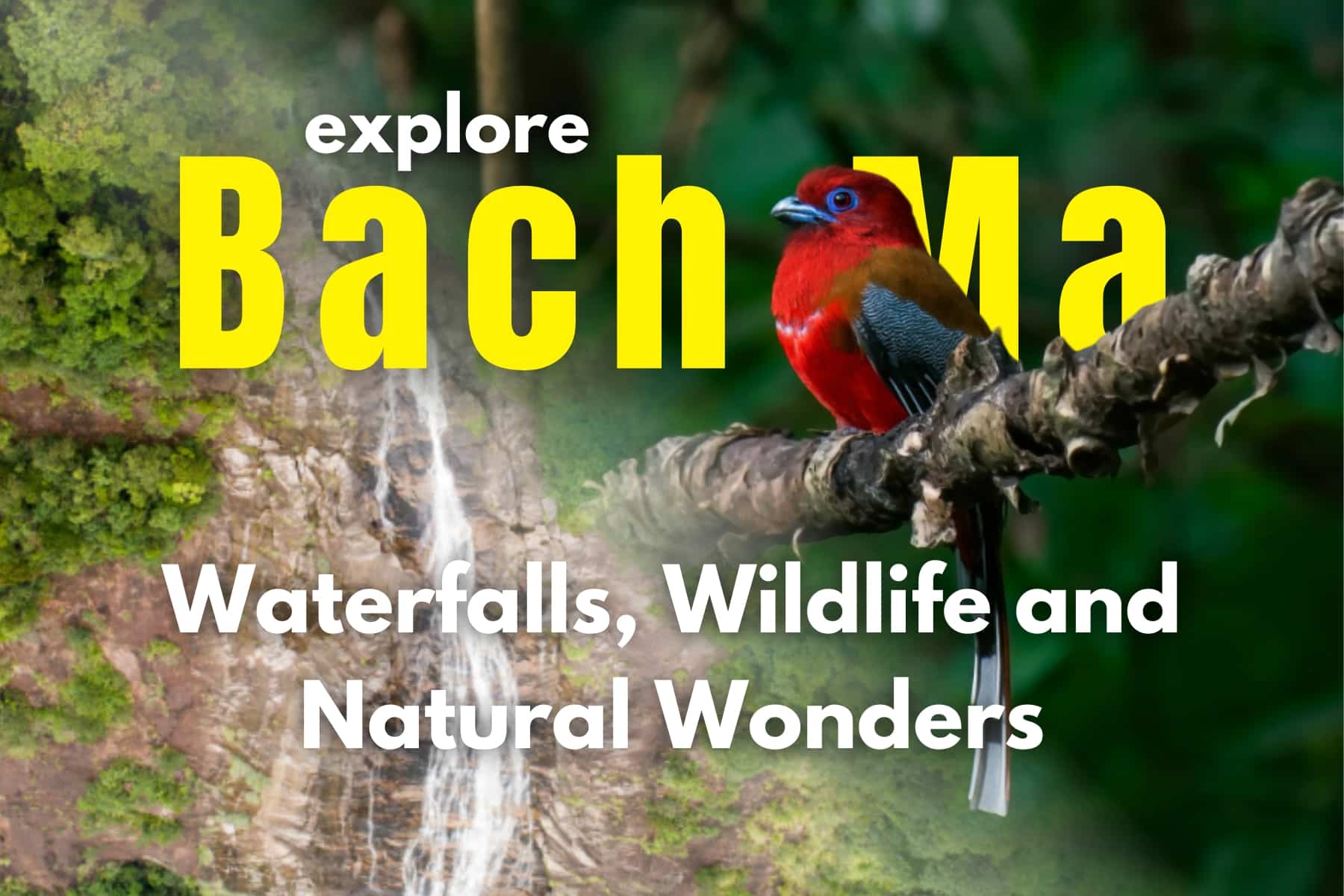 Tour thumbnail image of our Explore Bach Ma: Waterfalls, Wildlife and Natural Wonders