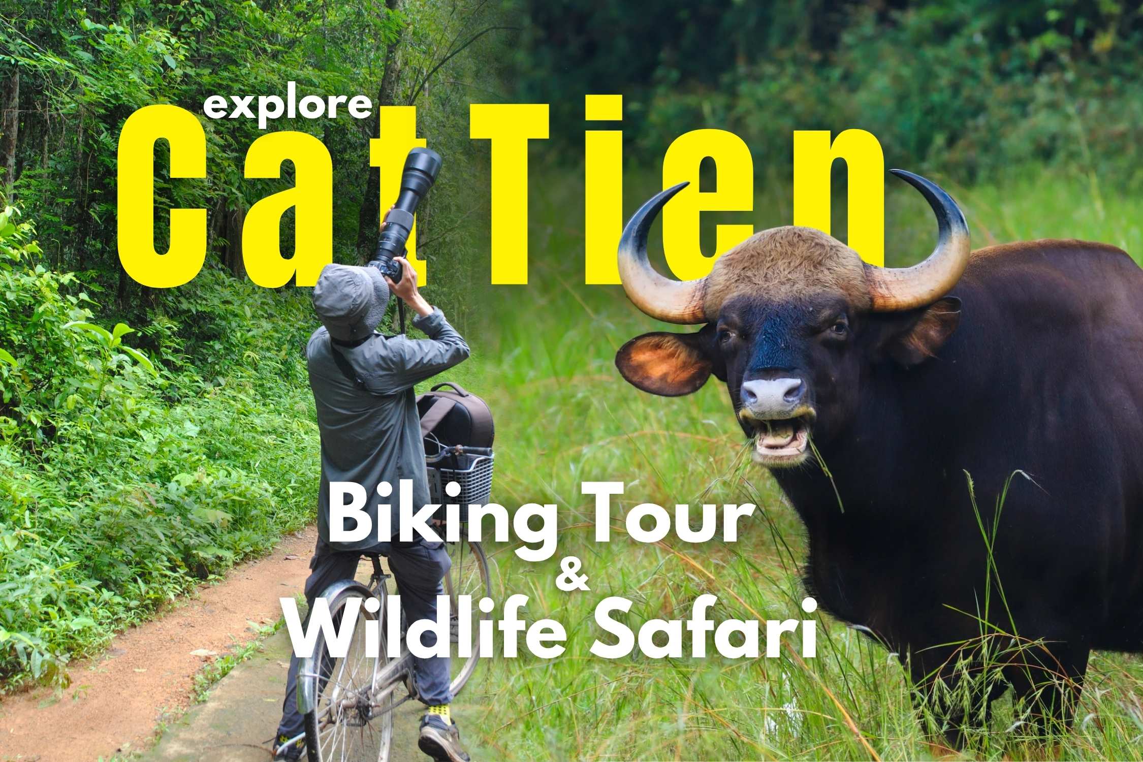 CAT TIEN THUMBNAILS-5