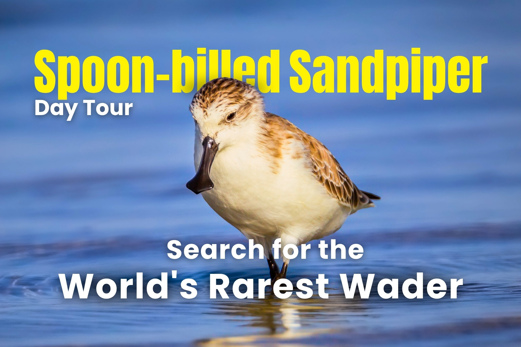 HO CHI MINH CITY THUMBNAILS