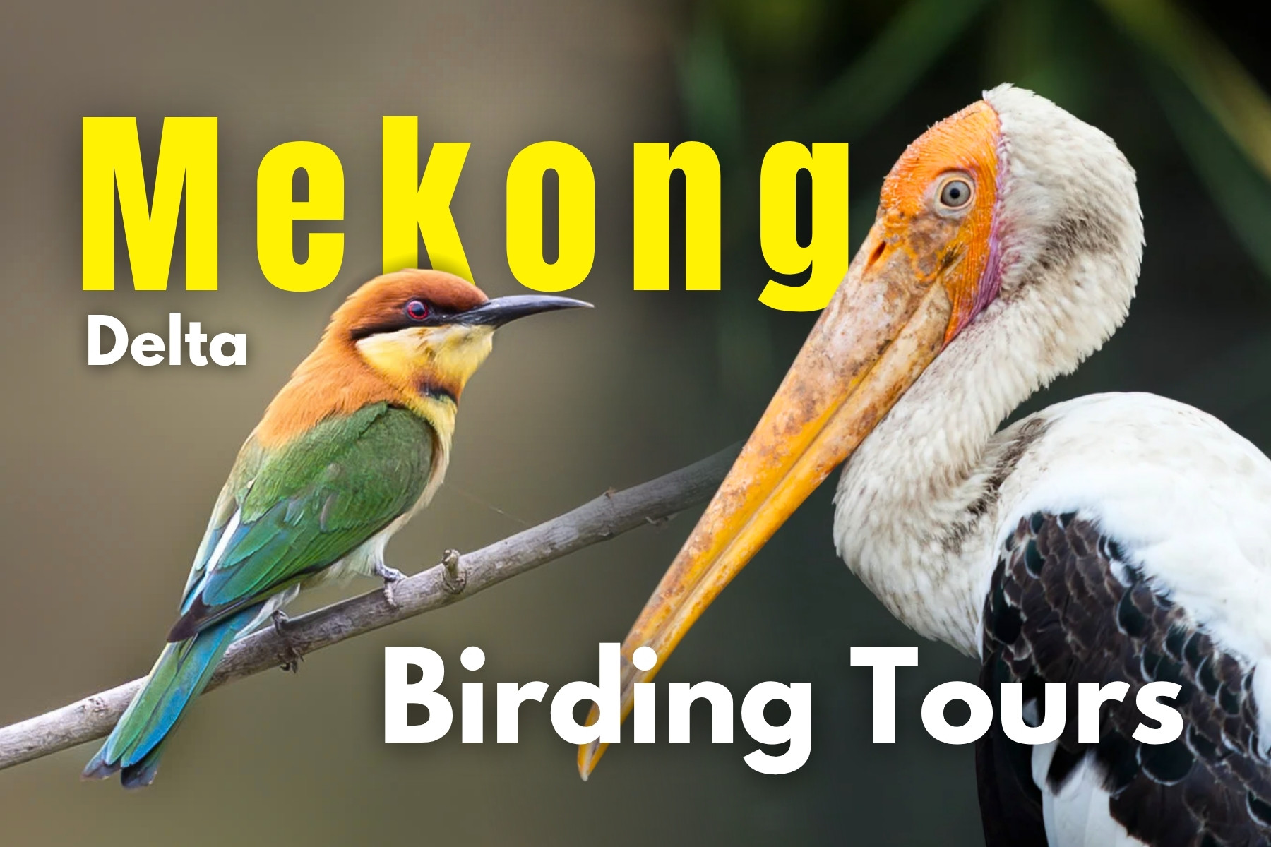 MEKONG THUMBNAILS