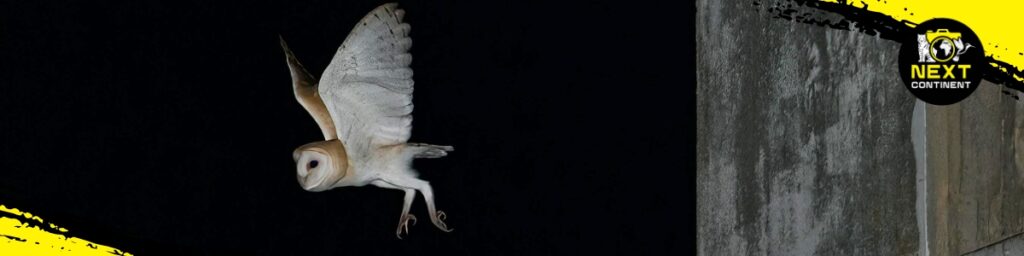 Bach Ma Nature Expedition