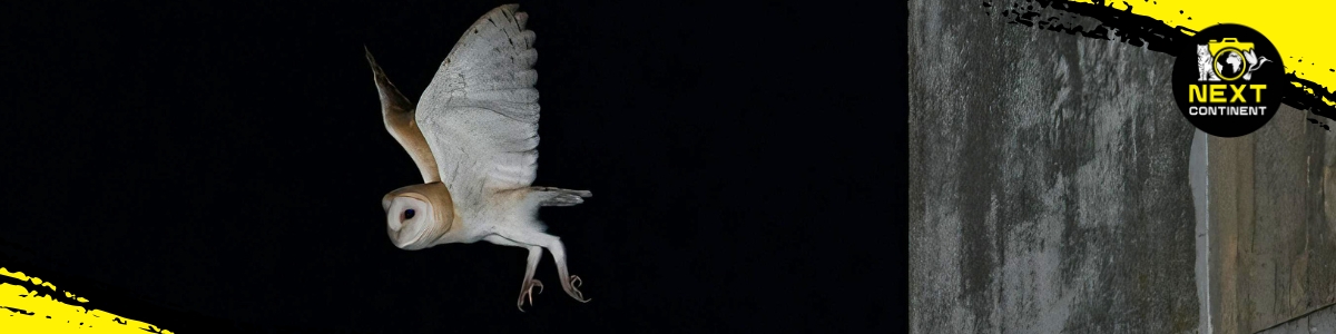 Bach Ma Nature Expedition