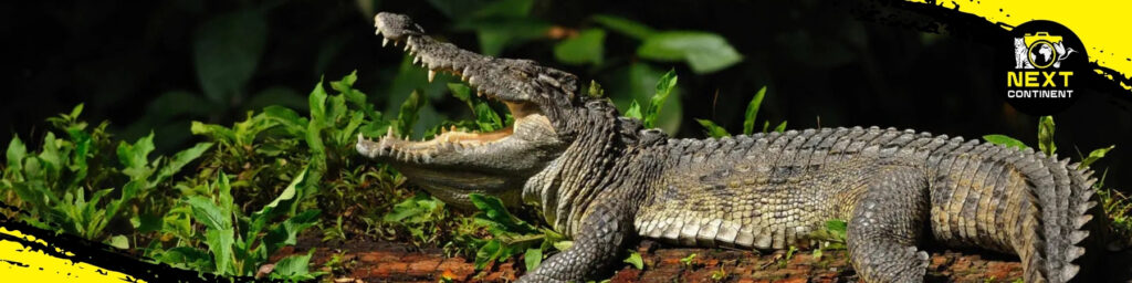 Bach Ma Nature Expedition