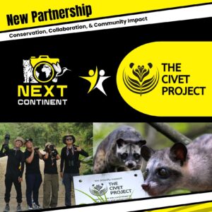 New Partnership - the civet
