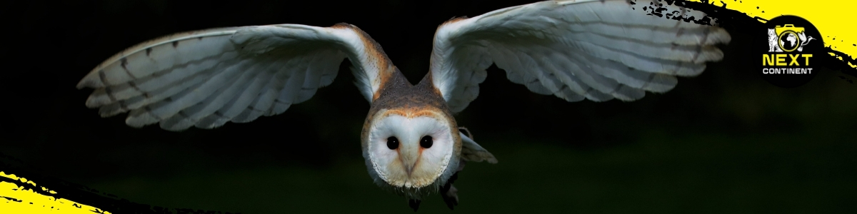 Bach Ma Nature Expedition