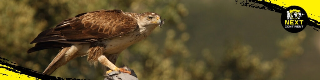 Bach Ma Nature Expedition