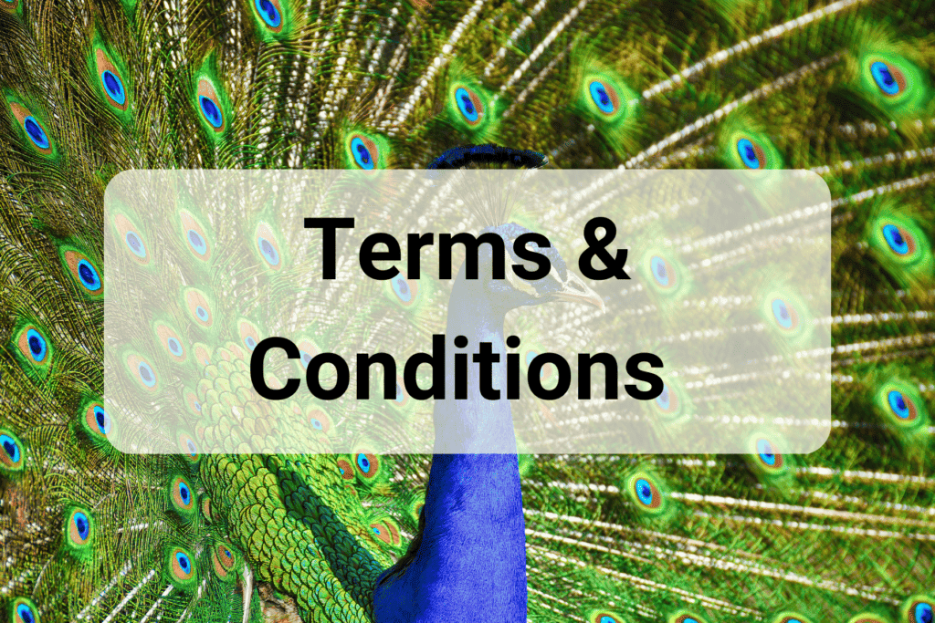 Terms & Conditions