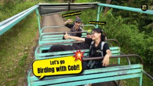 three young people having fun, posing on a car in Cat Tien National Park