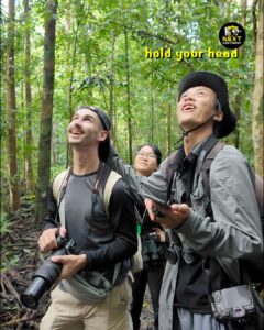 Three people looking up the canopy, looking happy