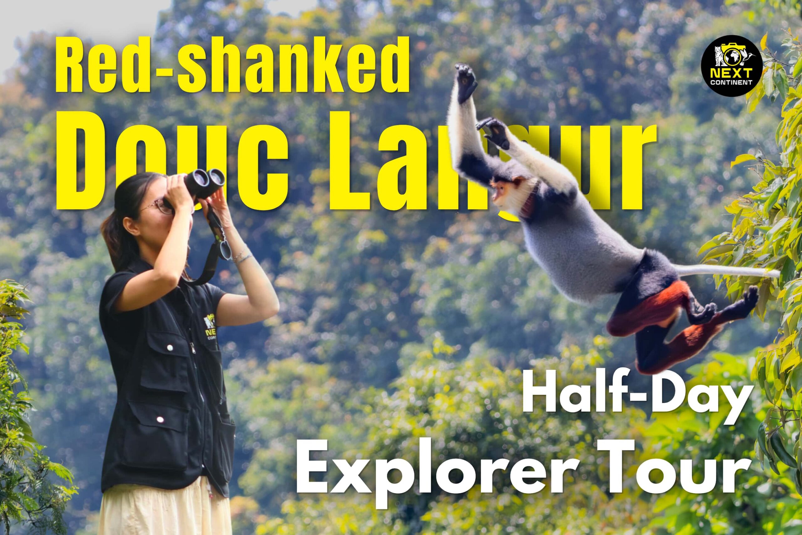 Halfday Explorer Tour
