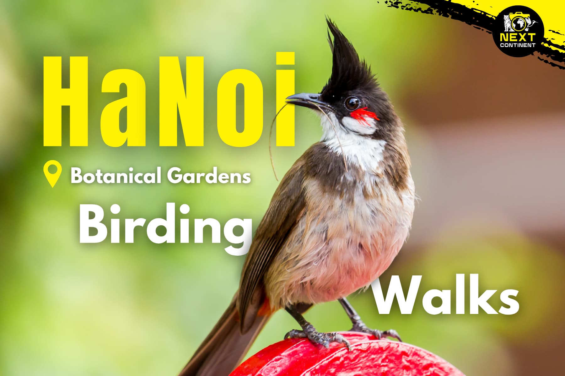 Hanoi Birding Walks_ Botanical Gardens Ver 2